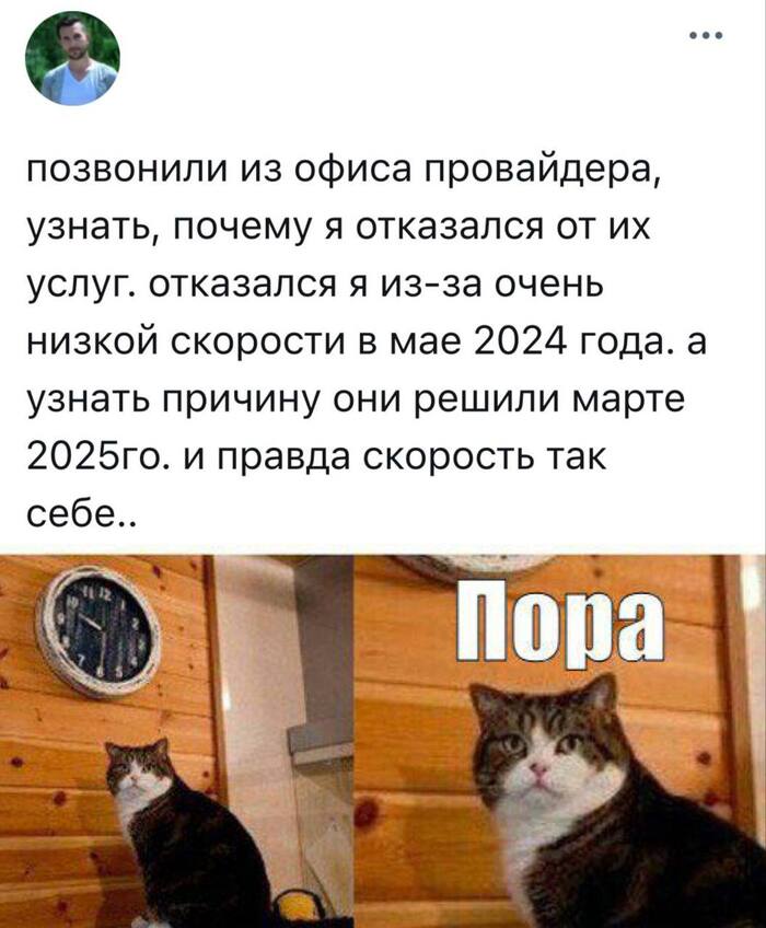      )) , ,   , , , , Telegram ()