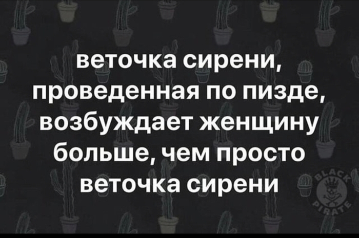 Веточка сирени