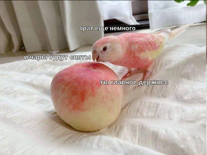 Держись брат