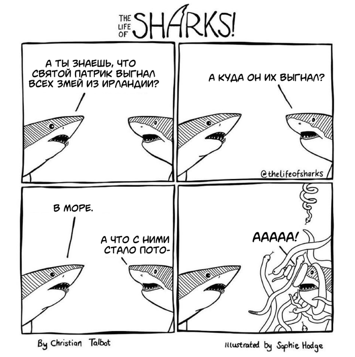 ,     , The Life of Sharks, , , ,  , ,  