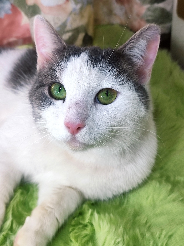 ����� ����� ��� ������