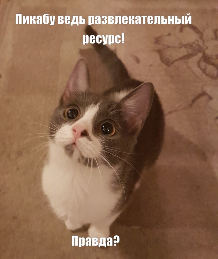    ... , , , , , ,   
