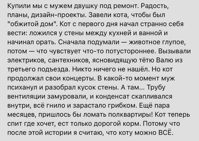 Спасибо котику