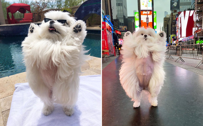 Падите ниц, холопы!