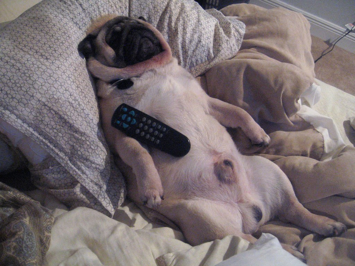 Тот самый момент, когда батя заснул, и у тебя есть возможность переключить канал, чтобы посмотреть мультики.