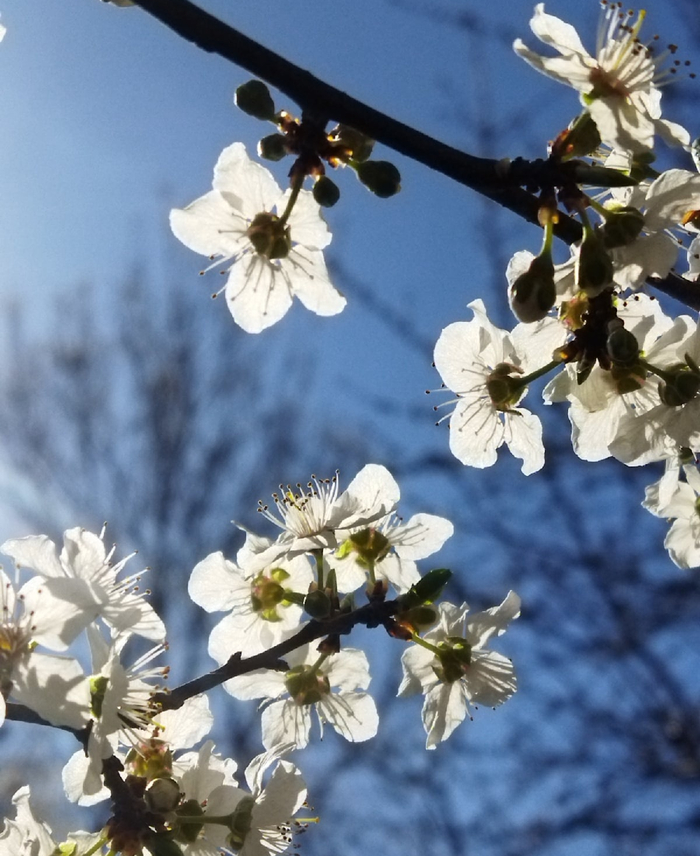 ����� ���, ����� ������!