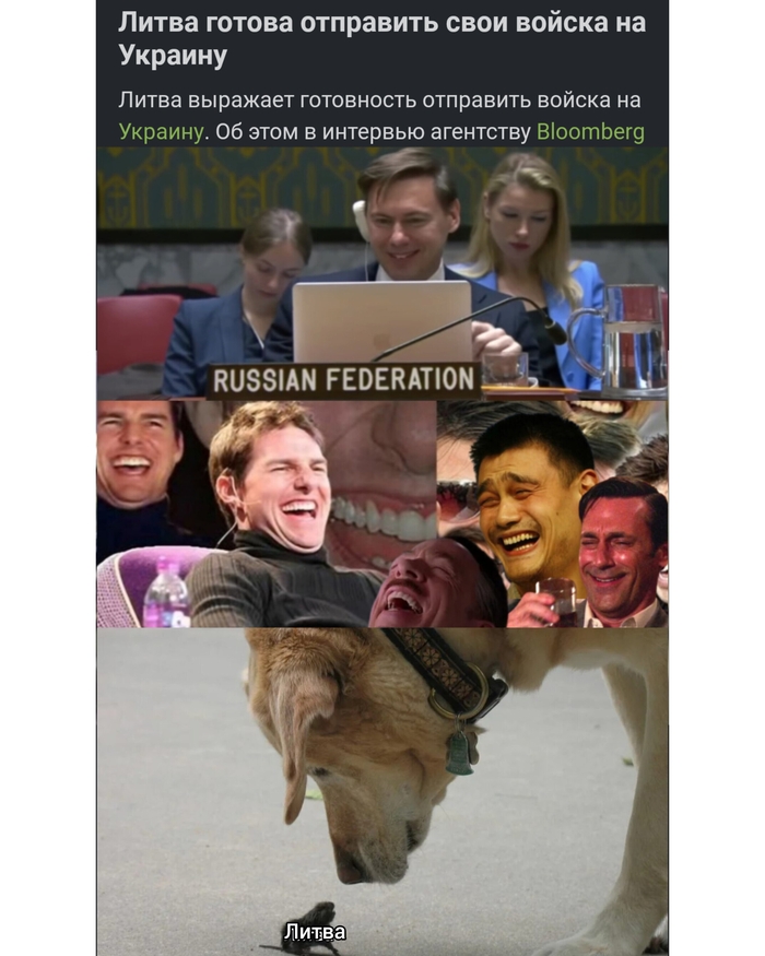 Ответ на пост «Литва готова отправить свои войска на Украину»