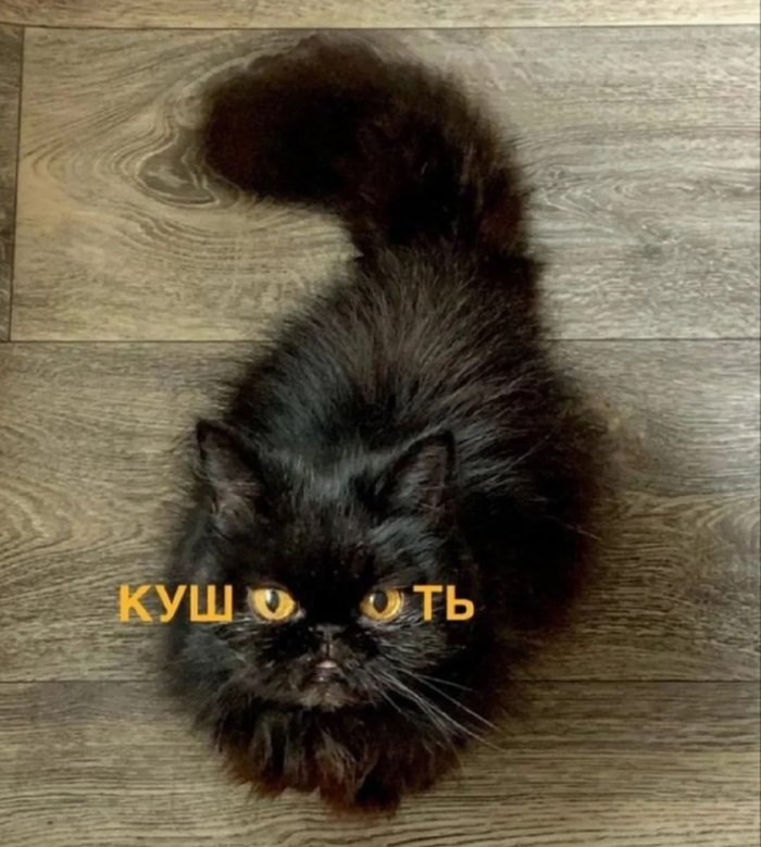   , , ,  , 