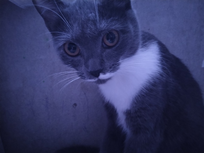    ,  , ,   
