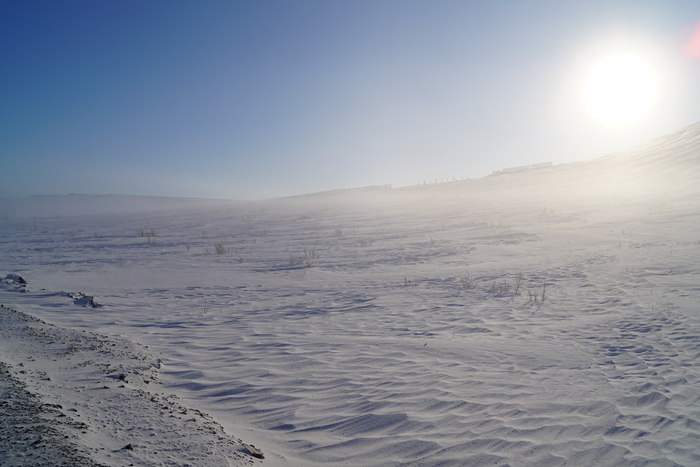 ������� ������