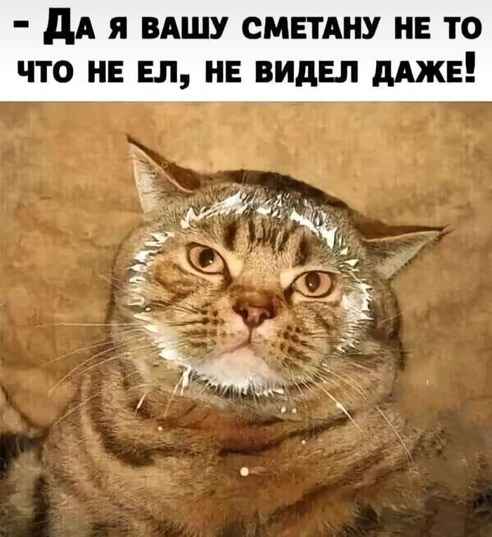  , , ,   , ,  , , , , 