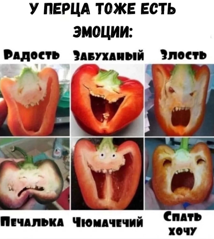     : , ,   , ,  , 