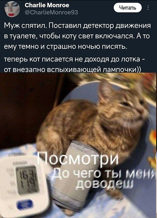  ,   , 