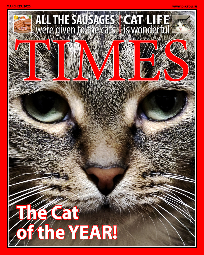 Ответ на пост «Скумбриевое "на документы"»