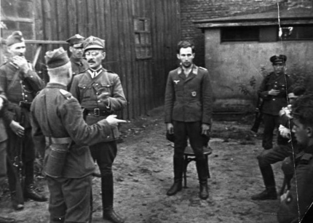 Еще пленные "стервятники".