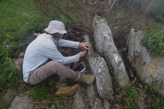 ���. 14. ������ �� �������