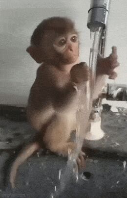     ,   , , , 