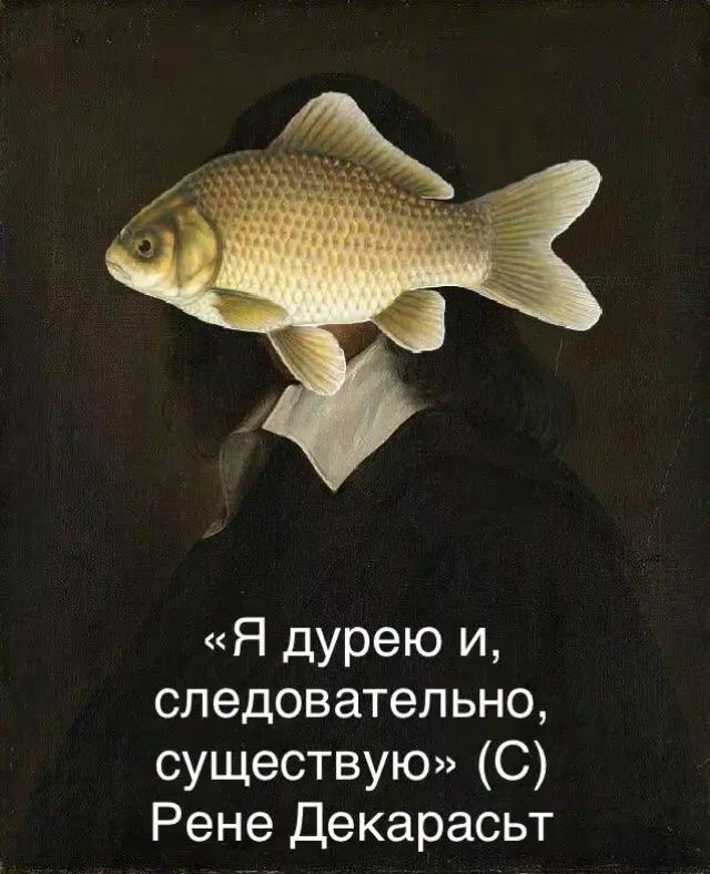     ,   ,  , ,     