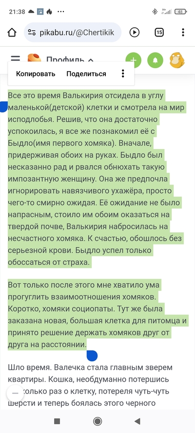 Иллюстрация к комментарию