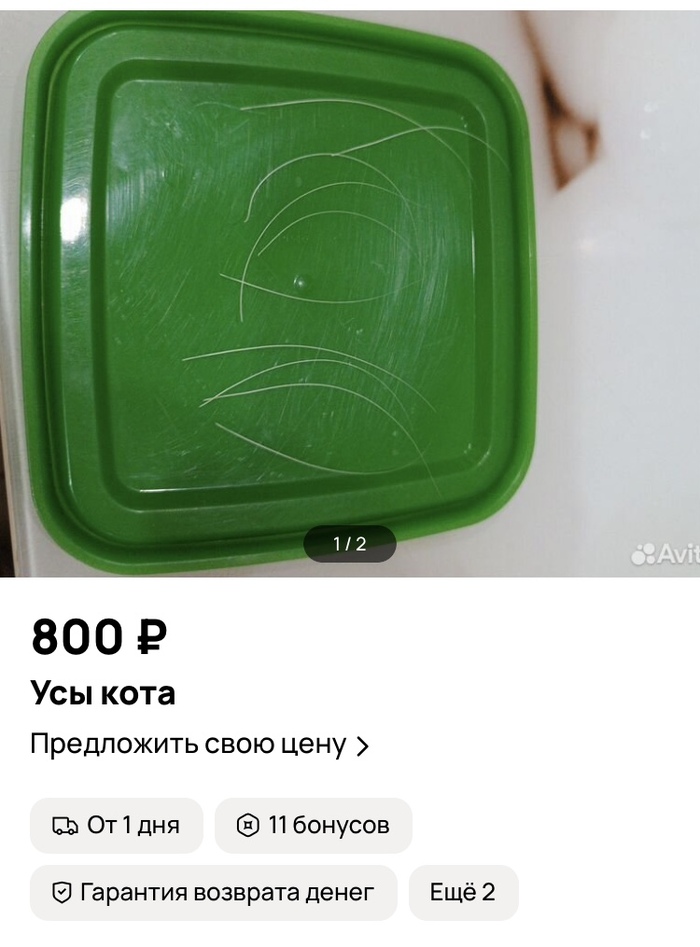   , , ,  , 