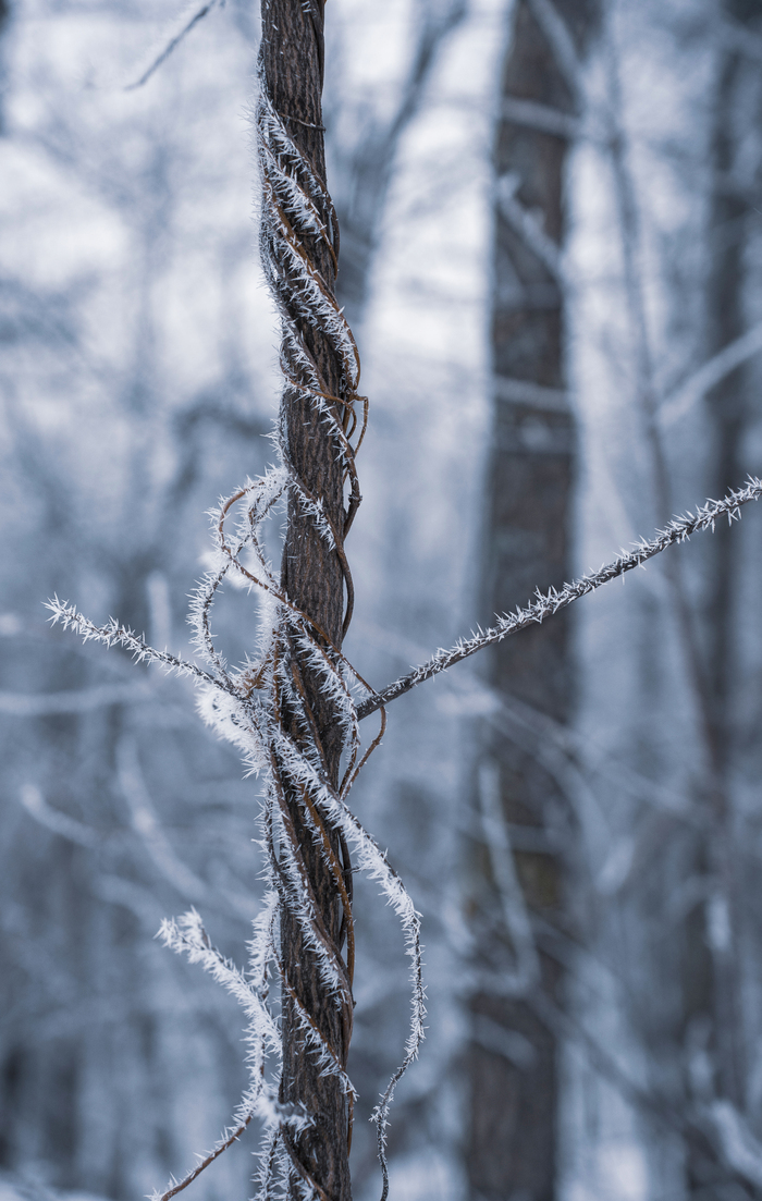 Красота в мелочах