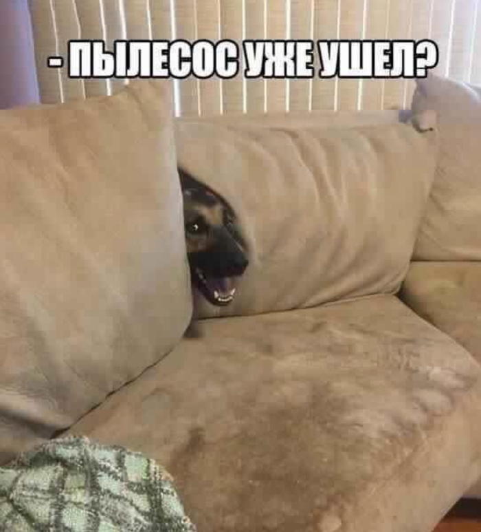 Пылесос уже ушел ?