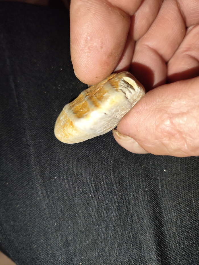      , ,  , , , , 