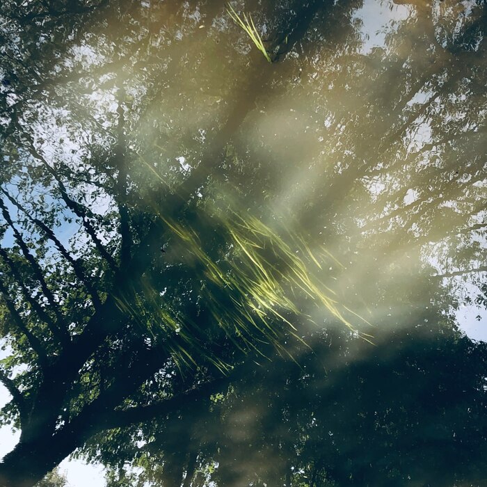 ������������ � ����