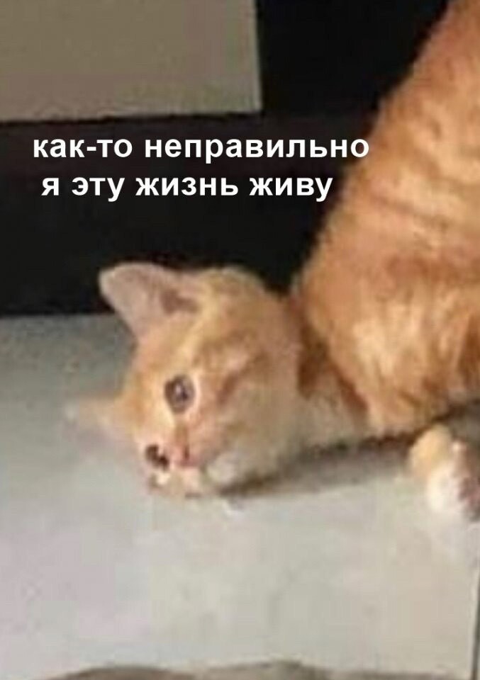   , , , ,  , ,  , , 