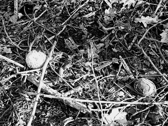 От судьбы не уйти