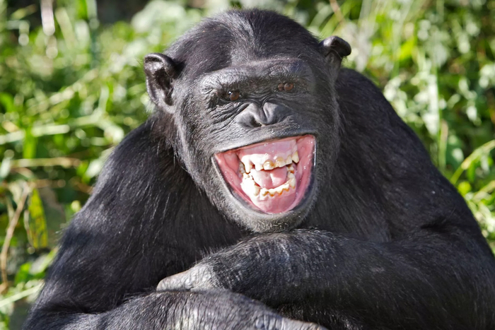      ,     .   ,      ,  .    ,    ,     .