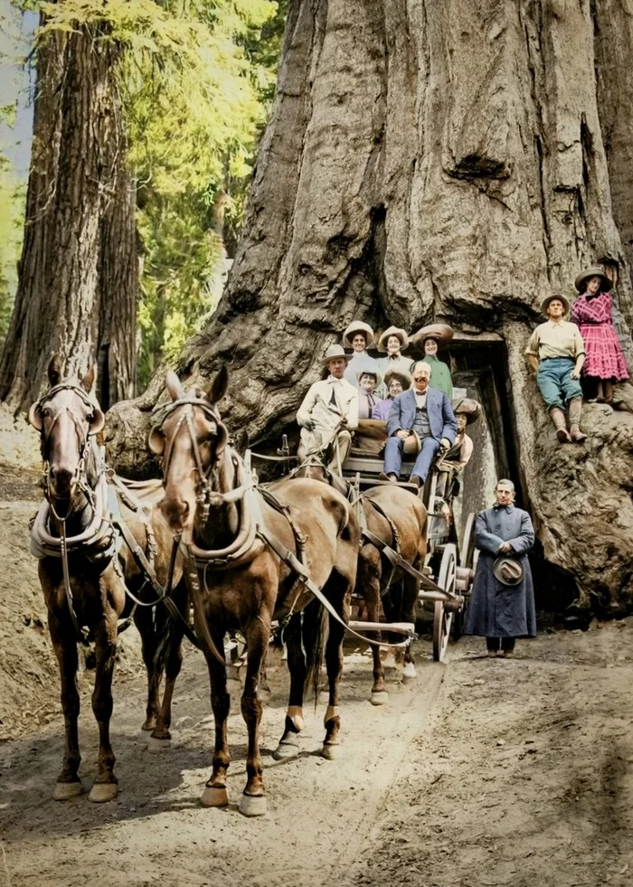Подборка интересных и необычных фотографий из США. 20 раскрашенных фотографий ХХ века. Часть XVIII 20 век, Старое фото, США, Фотография, Колоризация, Длиннопост