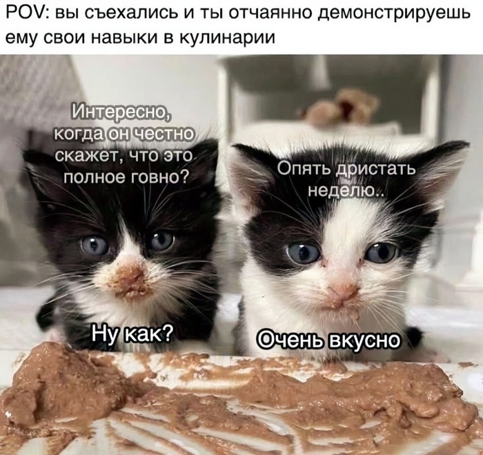  -,     ,  , , , ,  , , , ,  , ,   