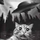   AstroKotNivavod