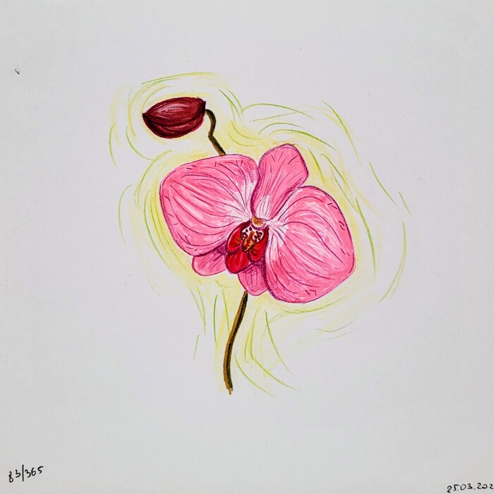    "  ". 83/365 , , , , , 