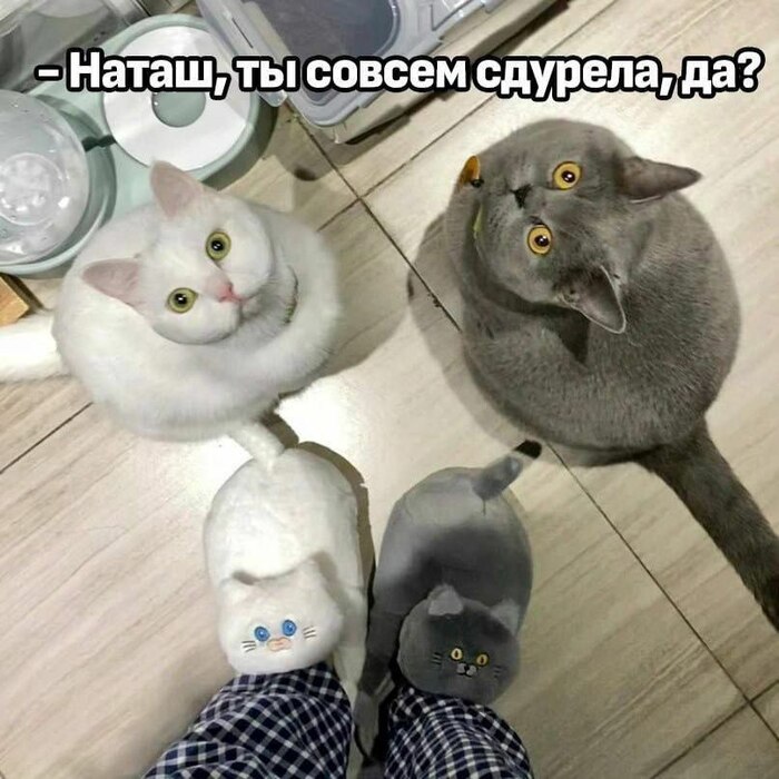 ?    , ,   , 