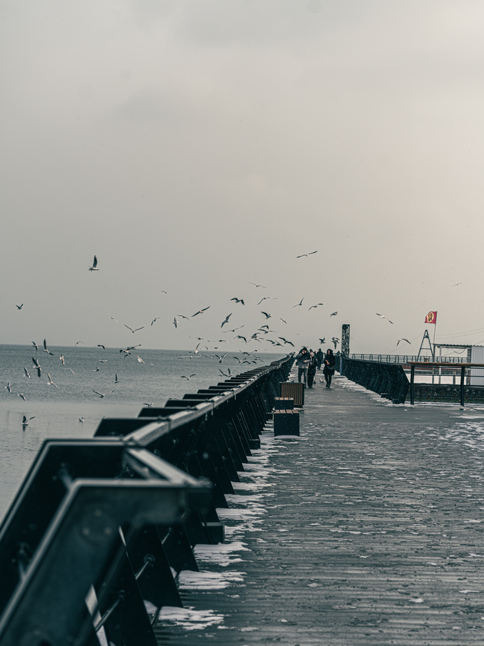   ..  2025  ,  , , Sony, , , , 