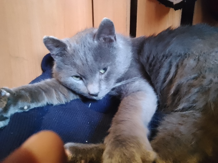   ,    ,   , , , , , ,   , , 