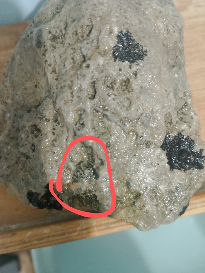 �������� ����������