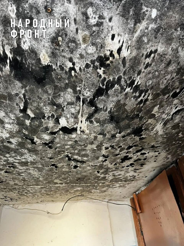 ���������, ������ ����� ������� � ���� �� �������������� � ����������?