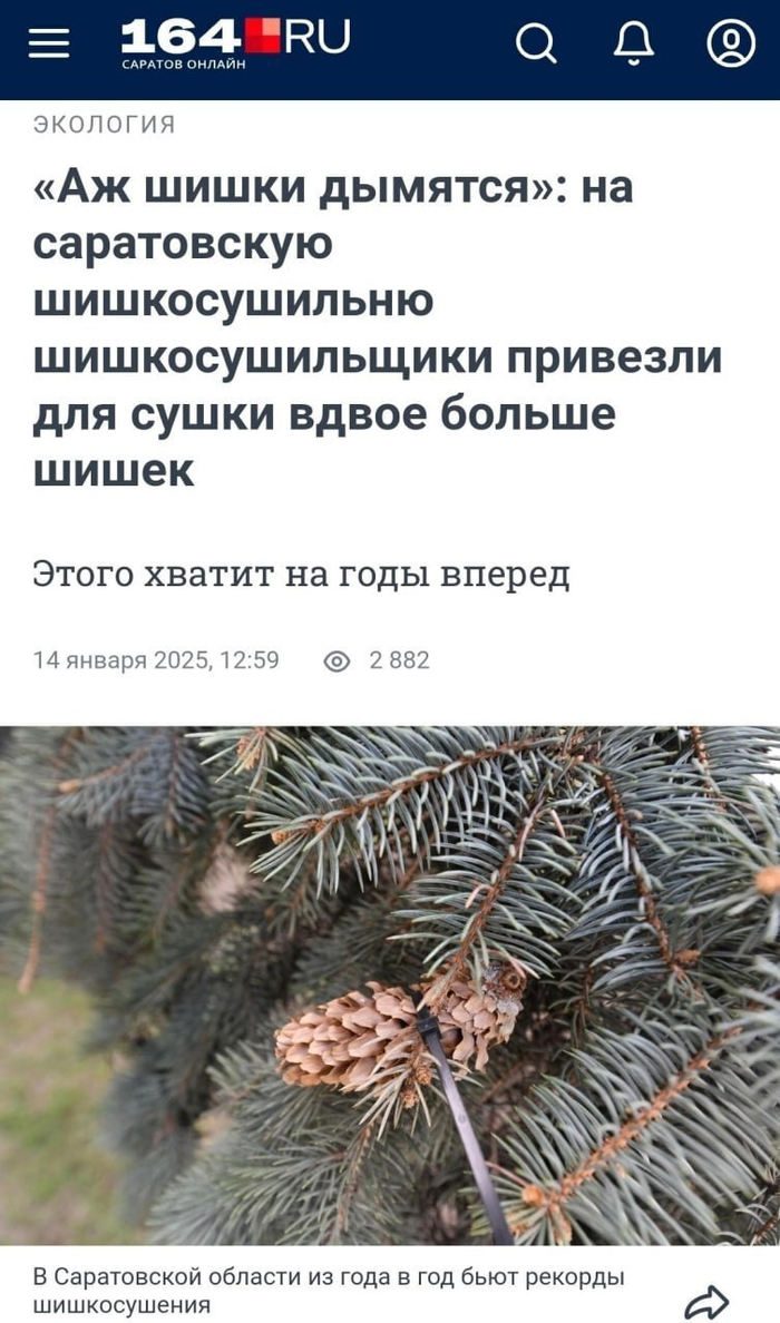 Попробуй повтори