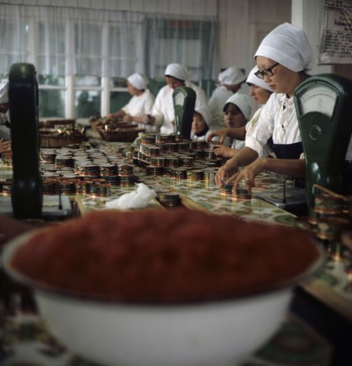        ,  , 1979  ,  ,  ,   , ,   , , ,  , 70-, Telegram ()