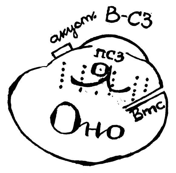 Источник: <!--noindex--><a href="https://pikabu.ru/story/psikhoanaliz_na_paltsakh_3_12541270?u=https%3A%2F%2Ffreudproject.ru%2F%3Fp%3D1115&t=https%3A%2F%2Ffreudproject.ru%2F%3Fp%3D1115&h=d1aed340a02ee1870d6a55eac4e032fd0d954dd0" title="https://freudproject.ru/?p=1115" target="_blank" rel="nofollow noopener">https://freudproject.ru/?p=1115</a><!--/noindex-->