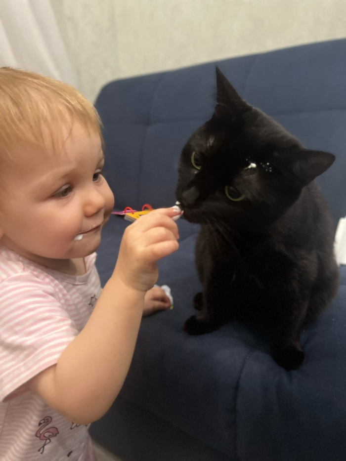 Кошечка Умра стала домашней 08.03.2022 в возрасте 8 месяцев