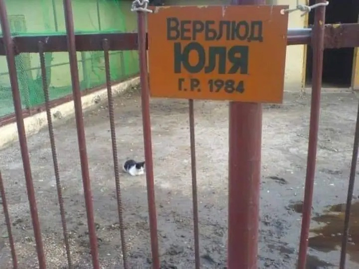 В общем, 41 год девочке