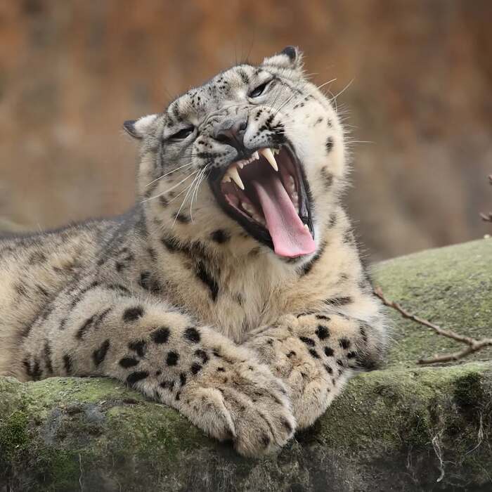   ,  ,  ,  ,  , , , 
