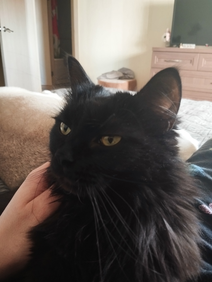 ���� � �����