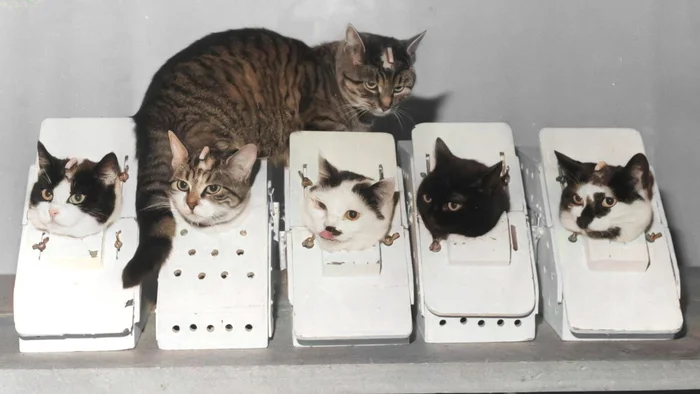 Подборка фотографий из прошлого, которые заставляют удивиться. 20 раскрашенных фотографий из XIX-ХХ века. Часть XVII 20 век, Историческое фото, Старое фото, Фотография, Колоризация, Длиннопост