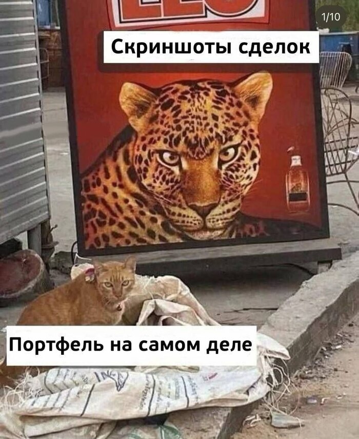    ,   , , IT , , , , , Telegram ()
