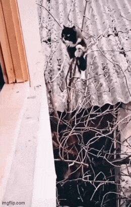   , , , 